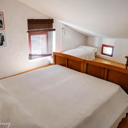 Stara Hisa Casa rural Kojsko